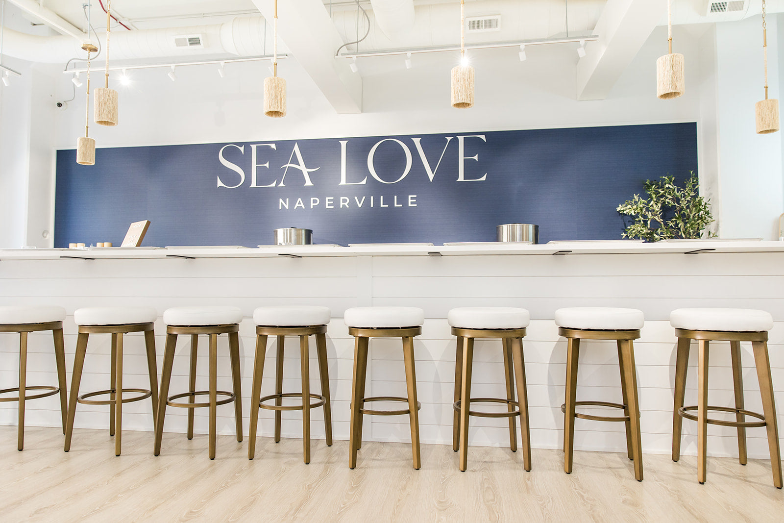 A modern and bright reception area with the words "sea love naperville" on the wall above a welcoming counter, flanked by stylish bar stools and overhung by unique basket-style light fixtures.